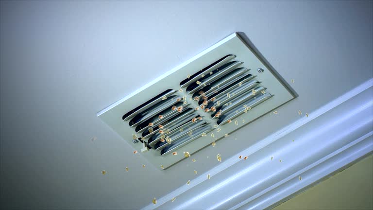 Best HVAC Air Duct Cleaning  in Marist College, NY