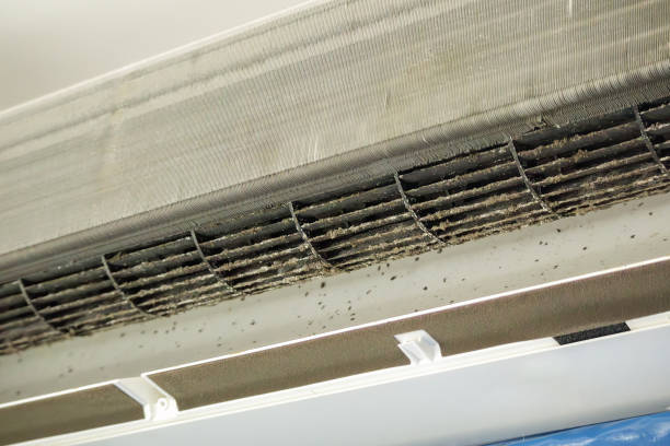 Best Local Air Duct Cleaning Services  in Marist College, NY